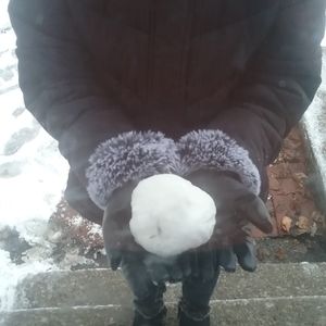 Meet your Posher, Pammy